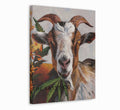 Goat on Grass